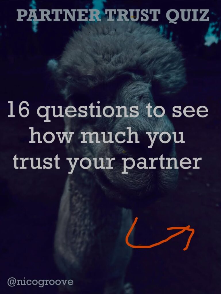 How much do you trust your partner